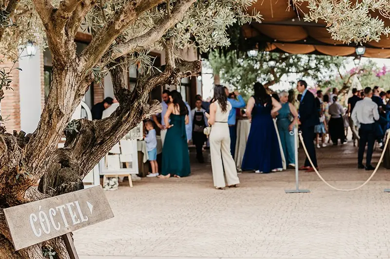 Cóctel bajo un olivo, con un cartel de madera que dice «Cóctel» y los invitados de pie