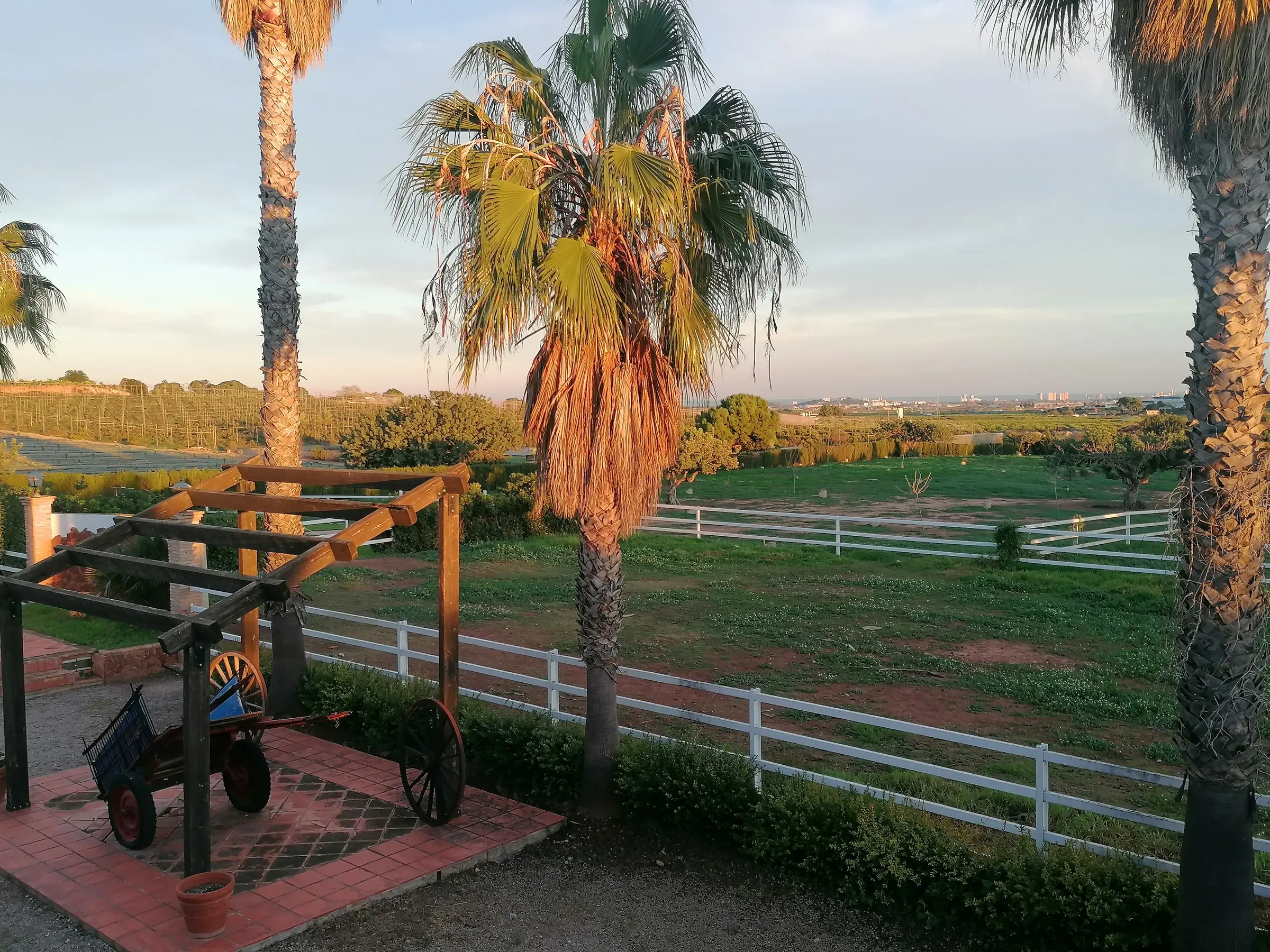 Palmeras y un carro antiguo bajo una pérgola junto al prado de vallas blancas, con luz dorada y el llano hacia Valencia al fondo